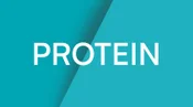 Protein